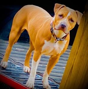 Meet your Posher, Jack